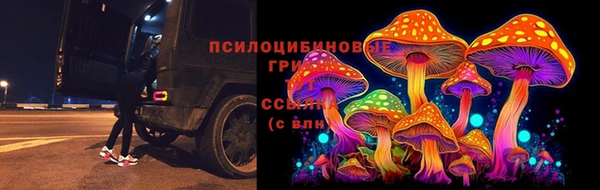 ПСИЛОЦИБИНОВЫЕ ГРИБЫ Медвежьегорск