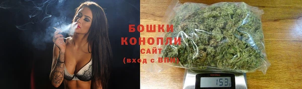 ГАЛЛЮЦИНОГЕННЫЕ ГРИБЫ Магадан